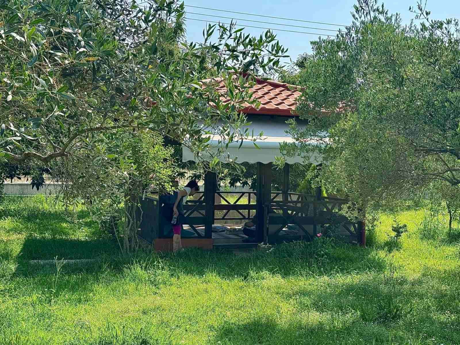Галерия "Асеман"